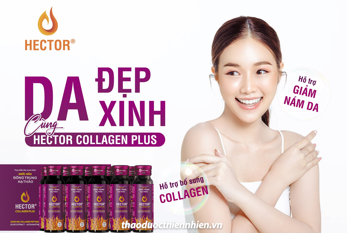 Đông trùng hạ thảo Collagen Plus