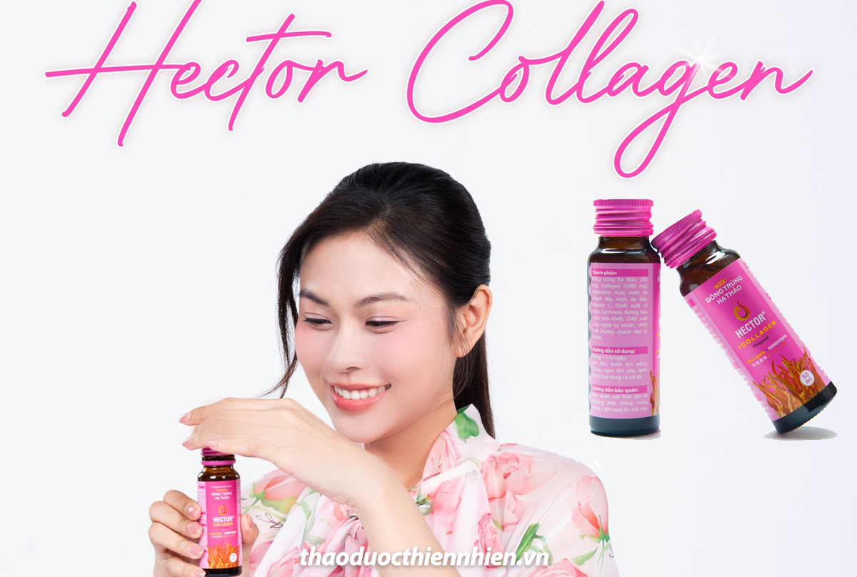 Nước nấm đông trung hạ thảo Hector Collagen