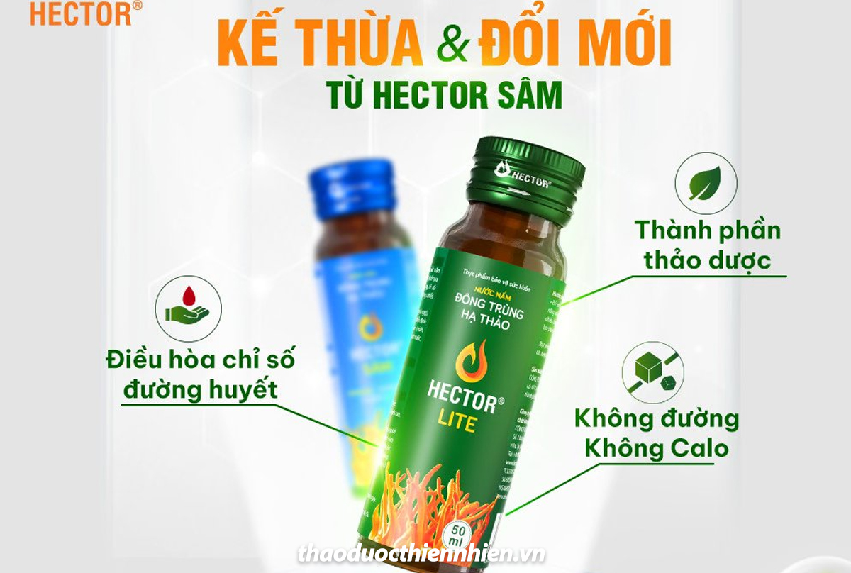 Đông trùng hạ thảo Hector Lite