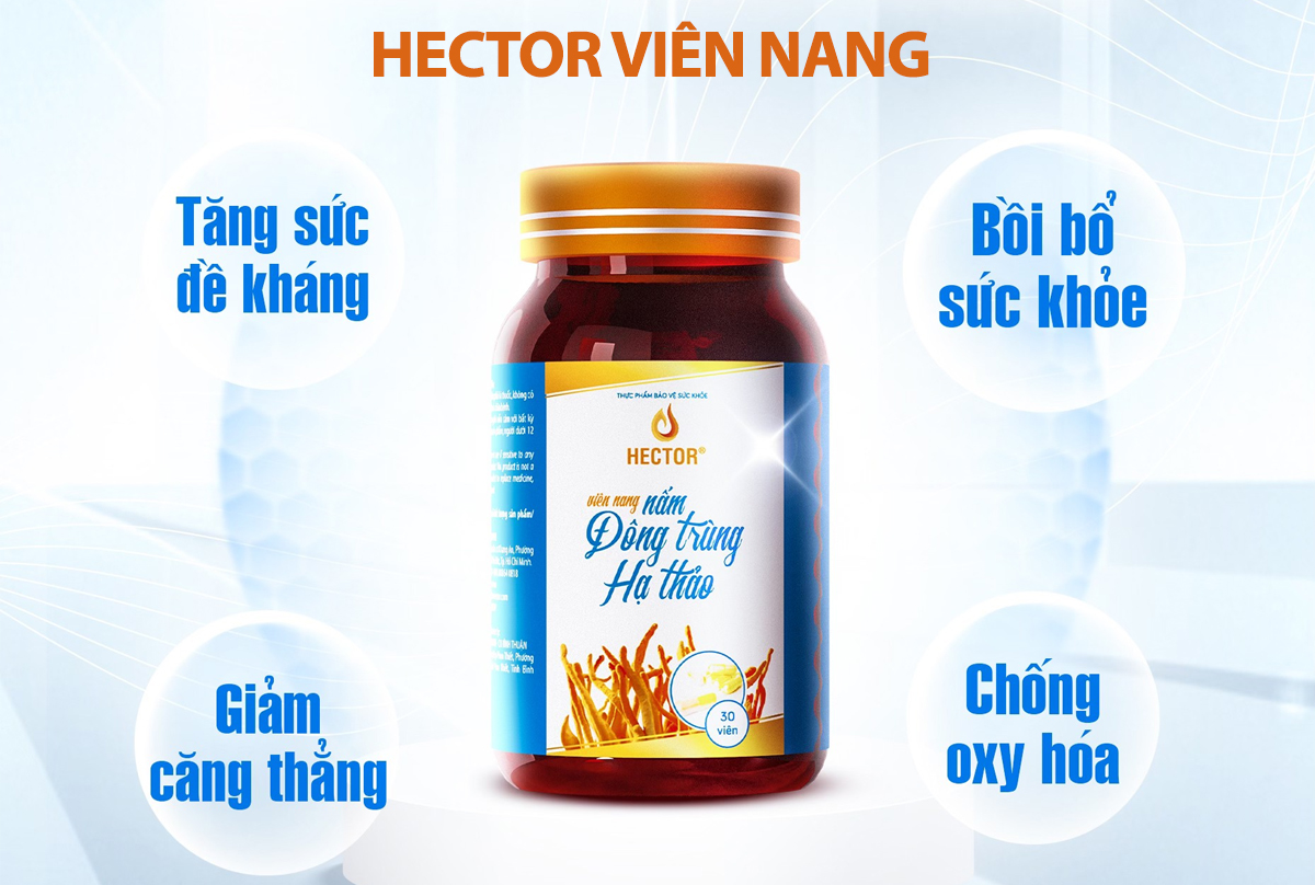 Viên nang nấm đông trùng hạ thảo Hector