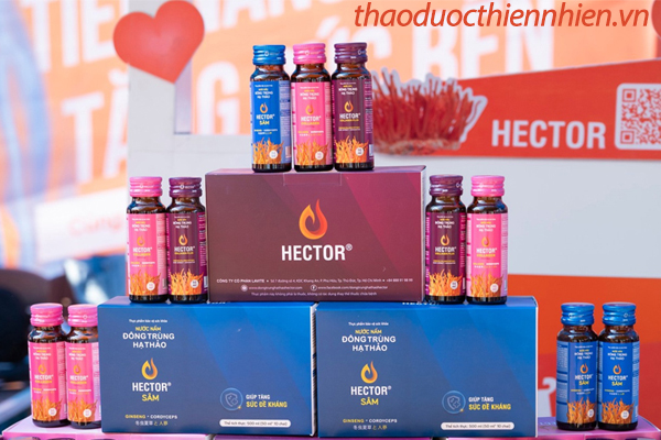 Đông trùng hạ thảo Hector có tác dụng gì?